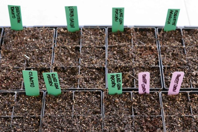 plastic labels for seed trays