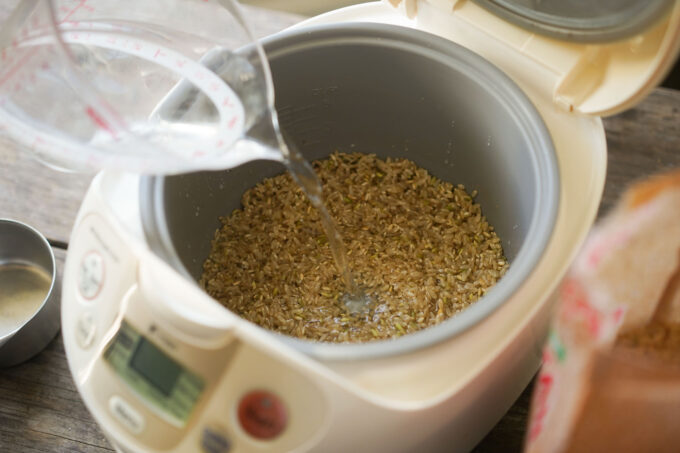 pouring water into rice cooker