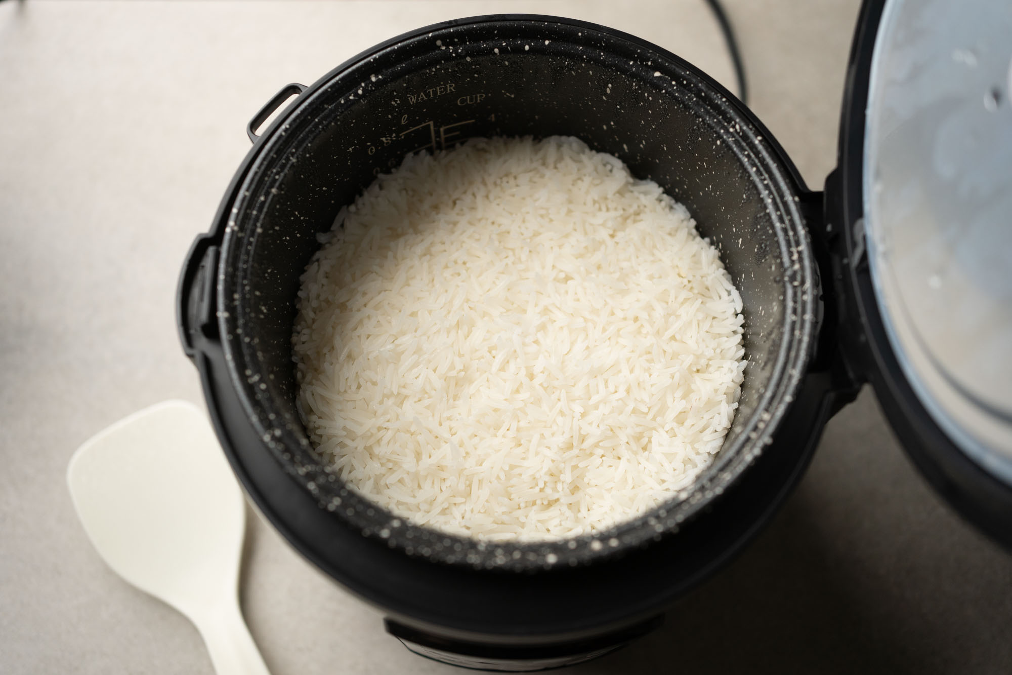 Aroma Rice Cooker Instructions & Recipe • Love From The Oven