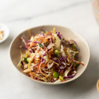 asian coleslaw w/ sesame vinaigrette