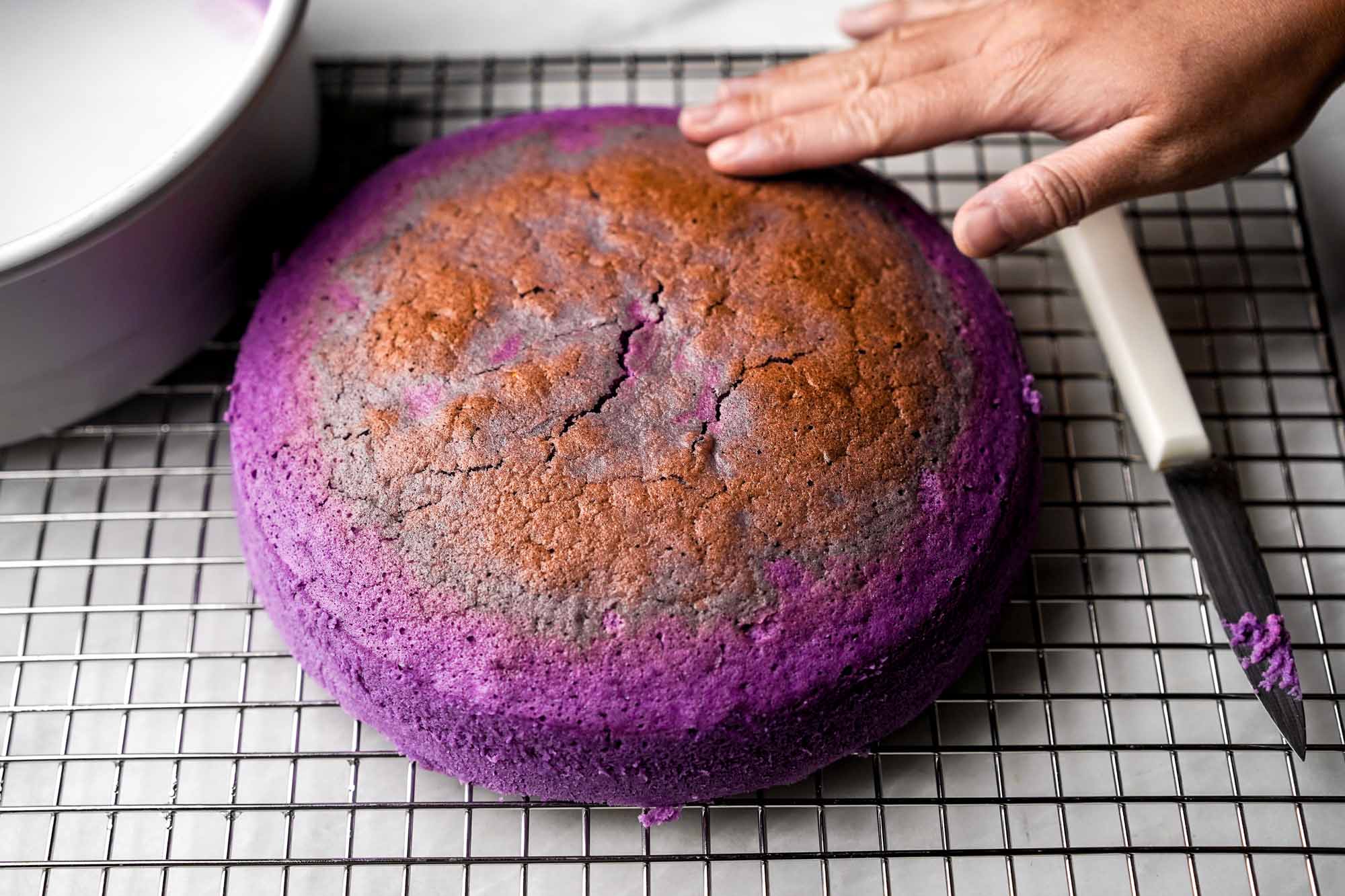 Ube Cake (Filipino Purple Yam Cake) - The Unlikely Baker®