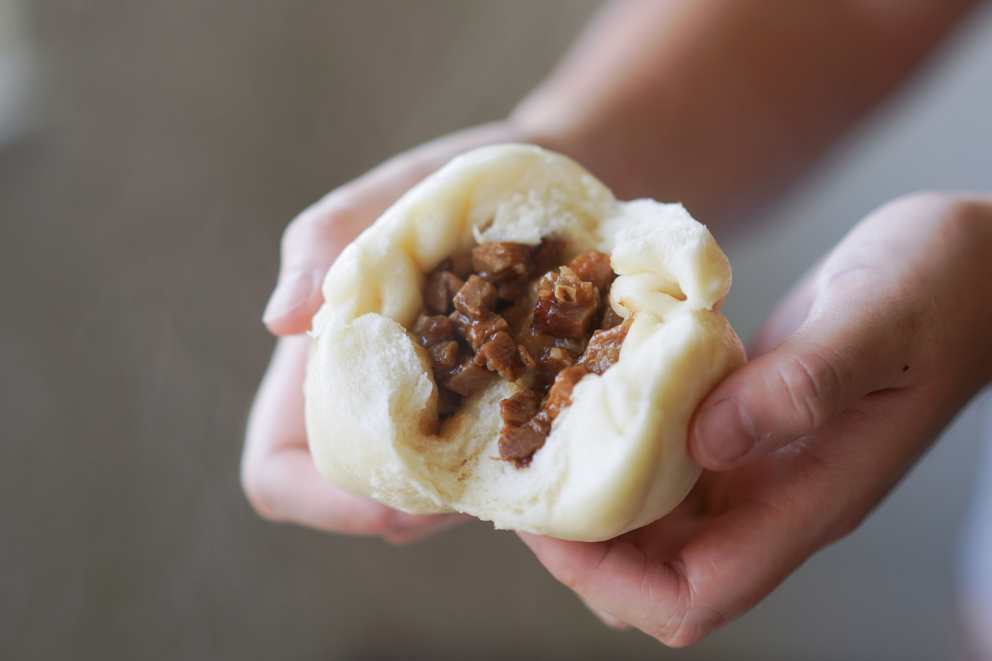 Char Siu Bao Steamed Chinese BBQ Pork Buns Hungry Huy zara-home-logo-download