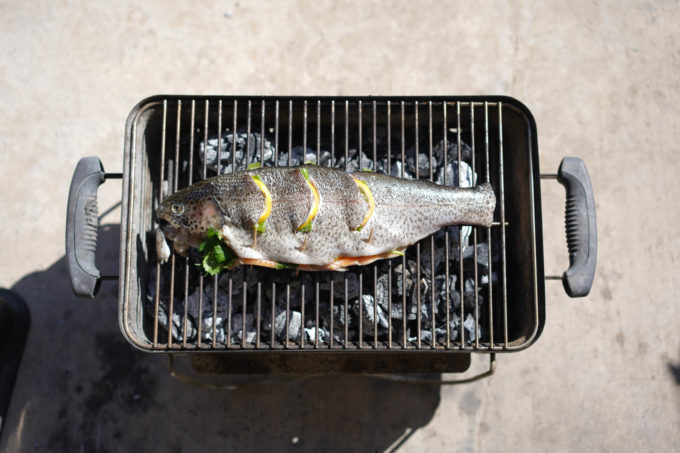 rainbow trout on small charcoal grill