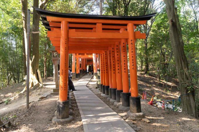 Fushimi Inari Taisha red gates