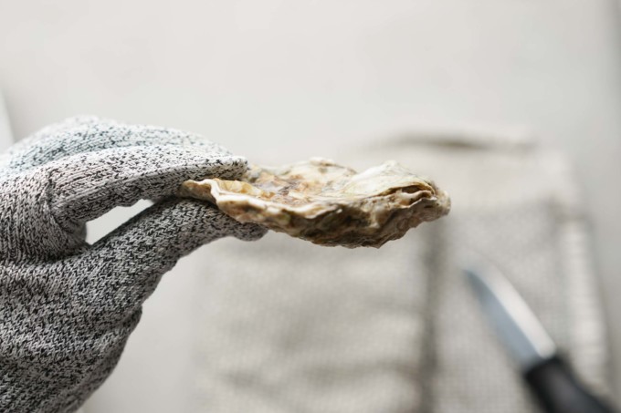 indentifying parts of the oyster