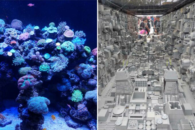 Legoland's aquarium and Star Wars display