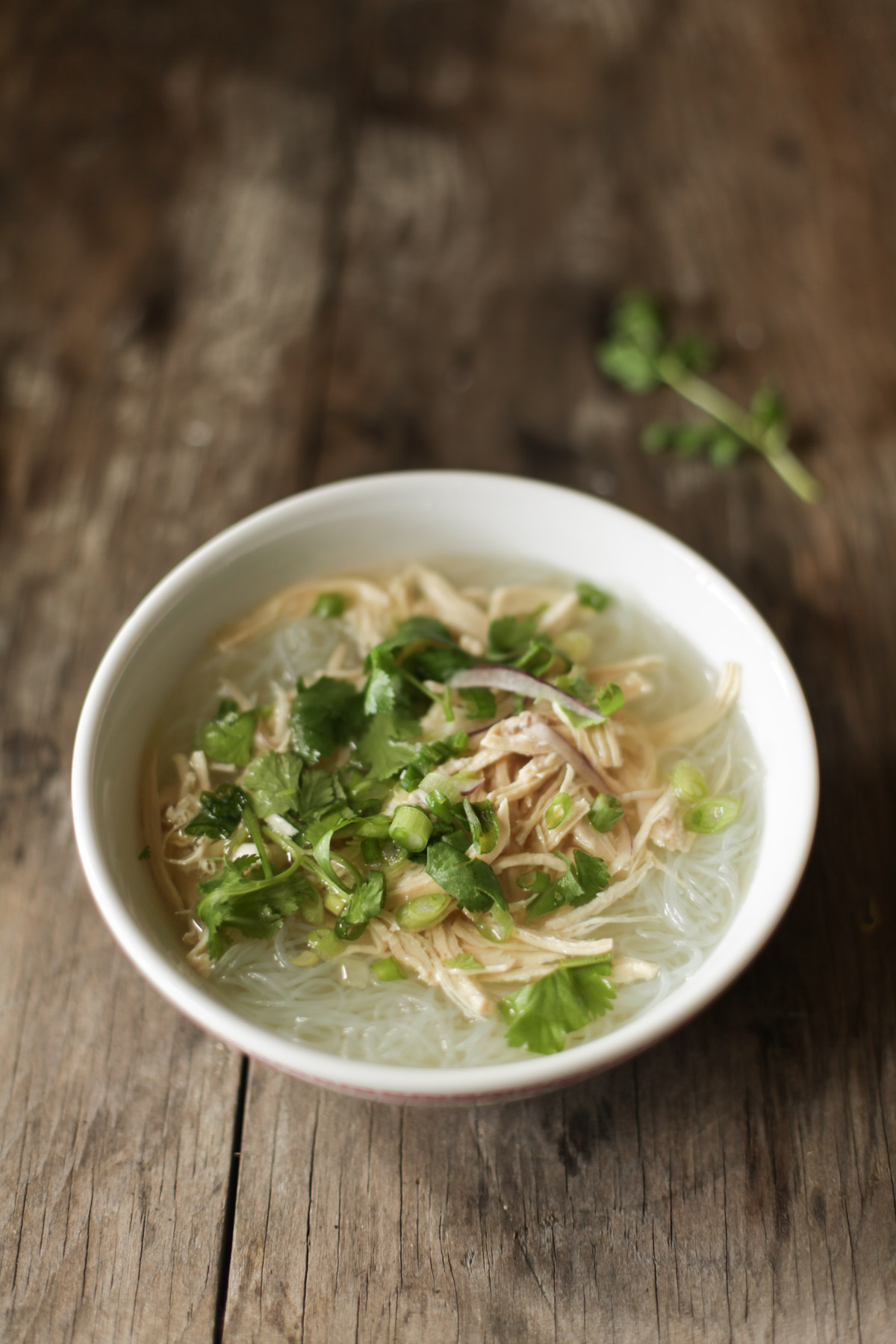 bowl of Vietnamese mien ga soup with chopped cilantro, green onion, and some red onion