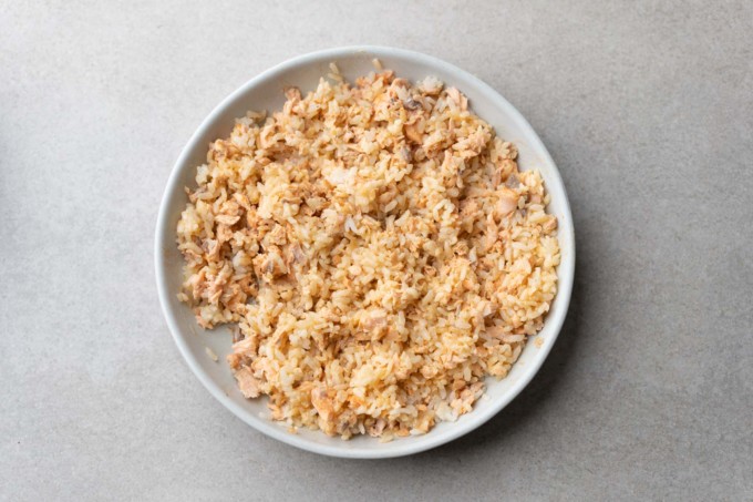 mixed salmon rice bowl