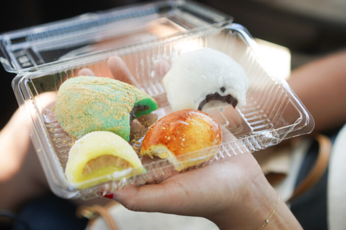 various mochi with filling from Nisshodo