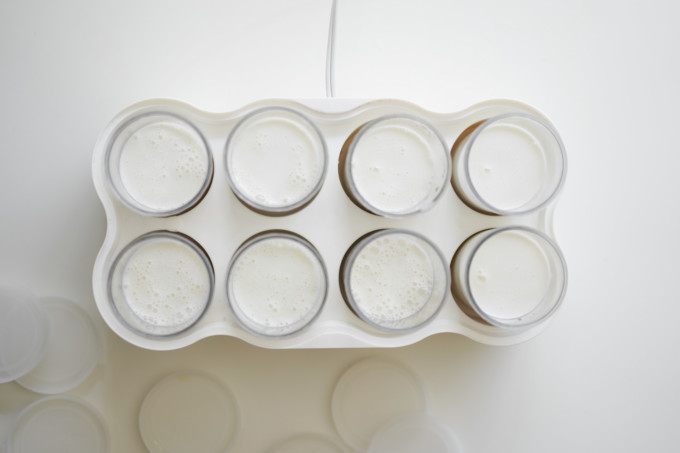 overhead view of yogurt jars