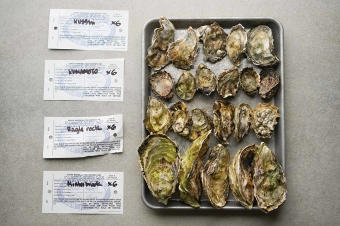 four types of oysters