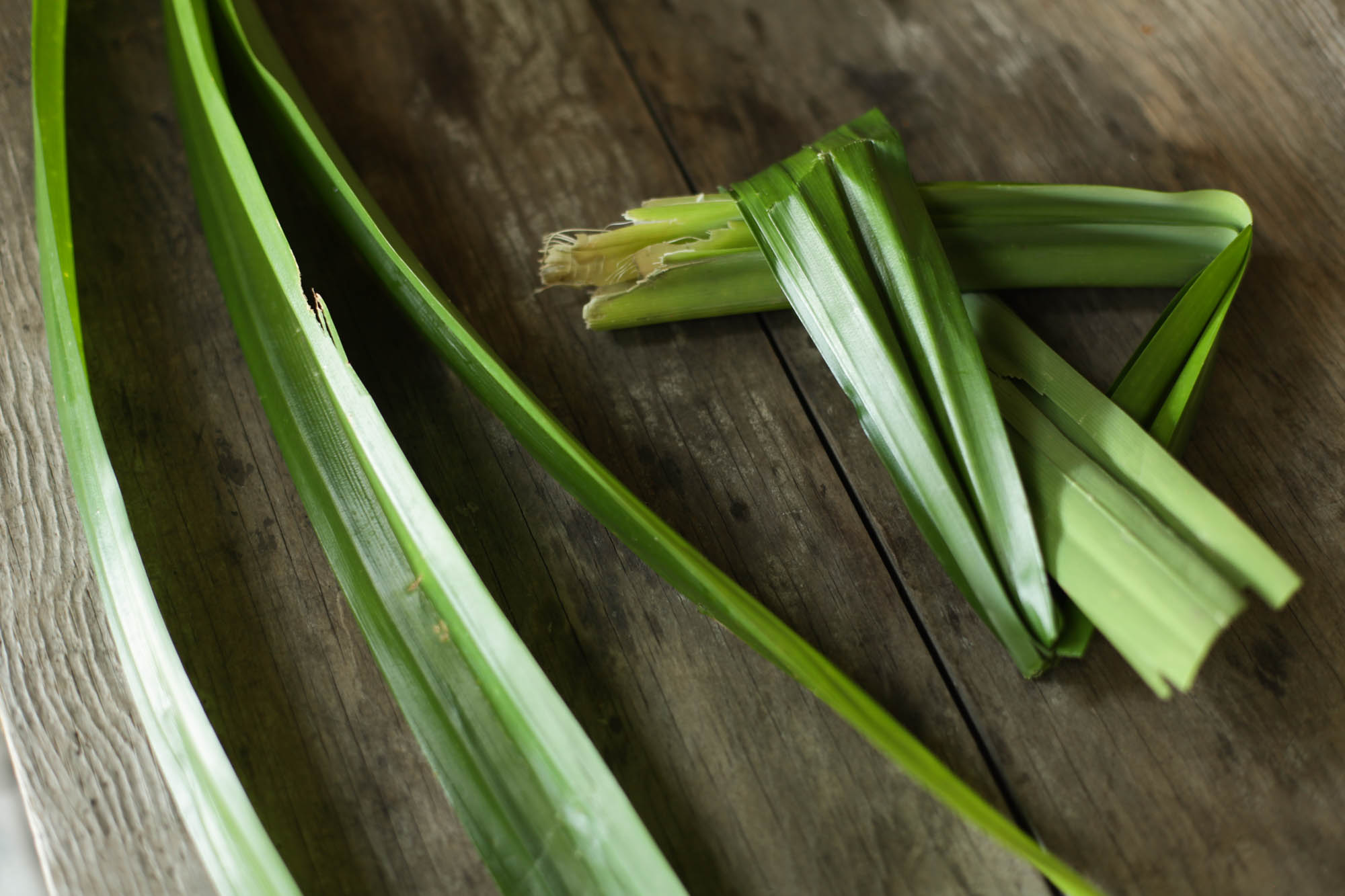 pandan leaves, tied into a knot