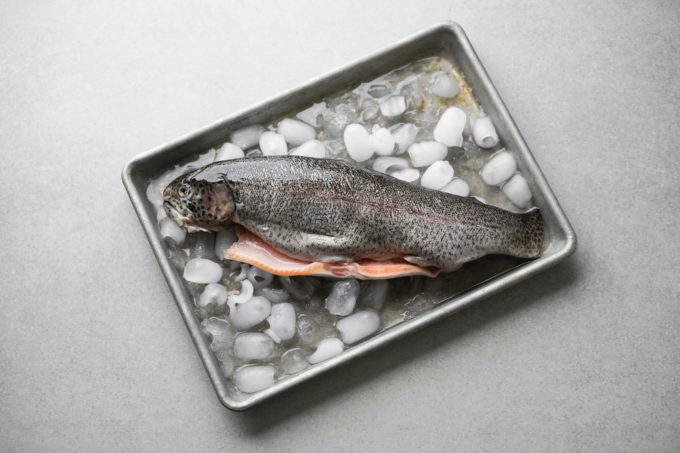 rainbow trout on tray of ice