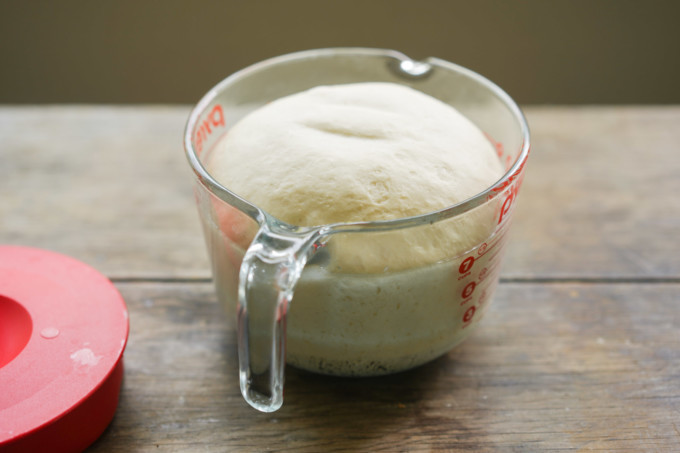 risen siopao dough