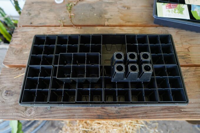 seedling cells in a large tray