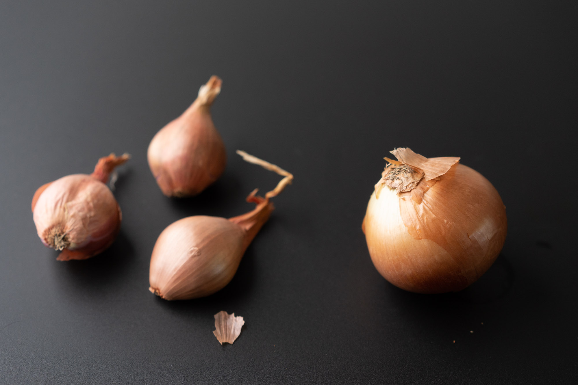 What Are Shallots? (Shallots vs. Onions & Green Onions)
