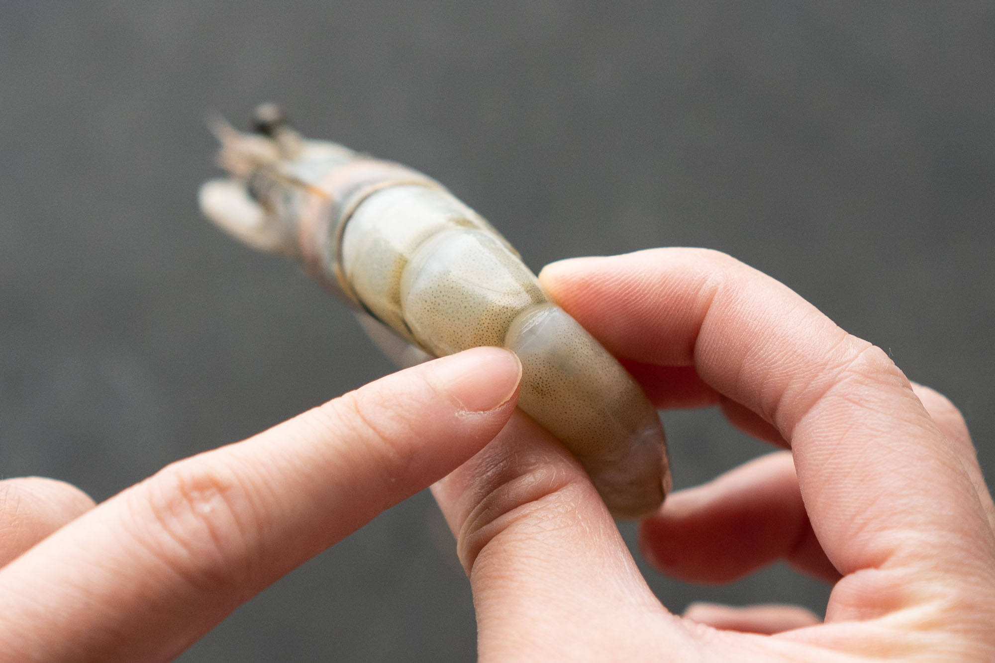 How to Peel & Devein Shrimp (3 Easy Methods) Hungry Huy