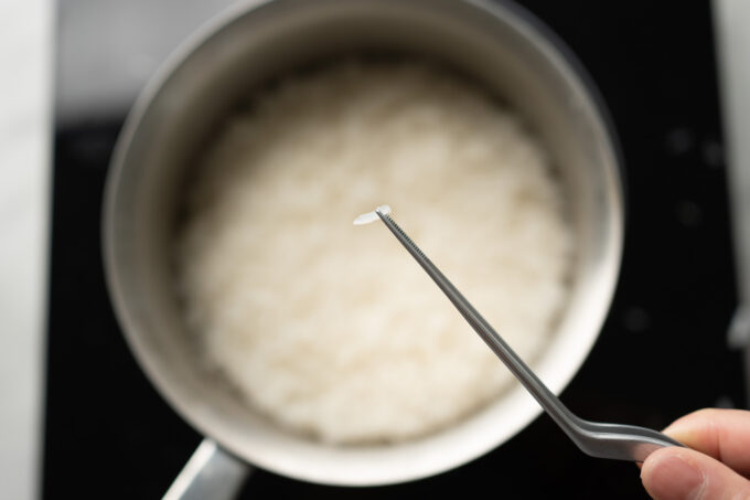 grain of rice on tweezers