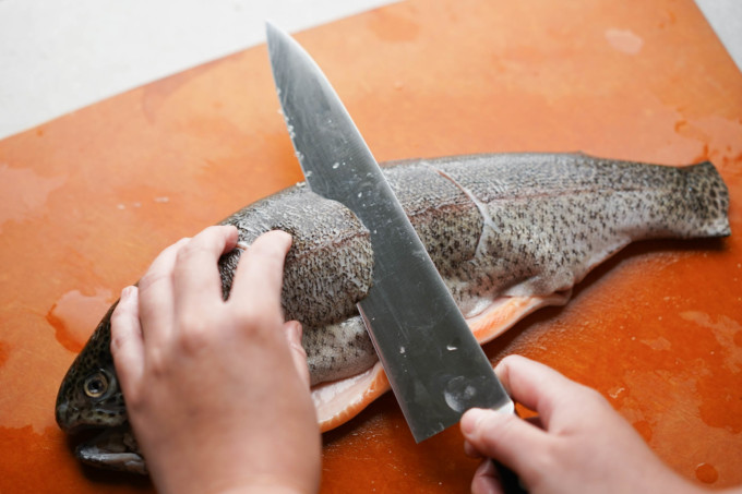 cutting notches into fish