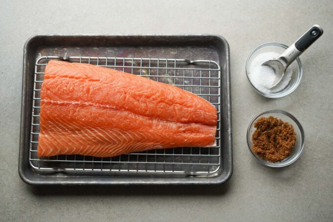 raw salmon filet