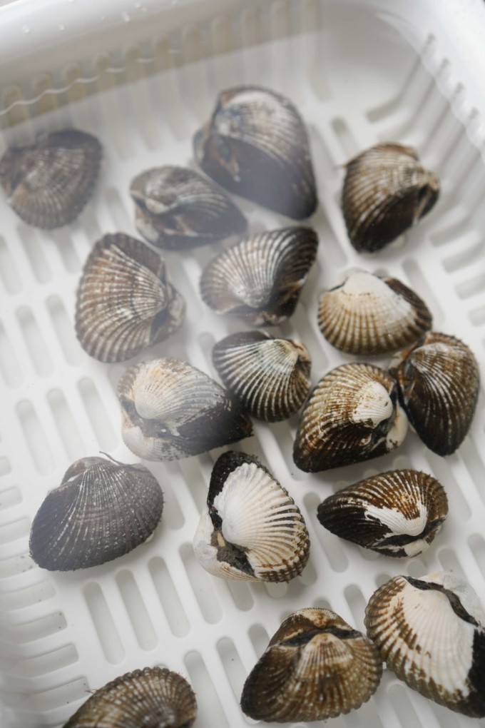 soaking blood clams in water