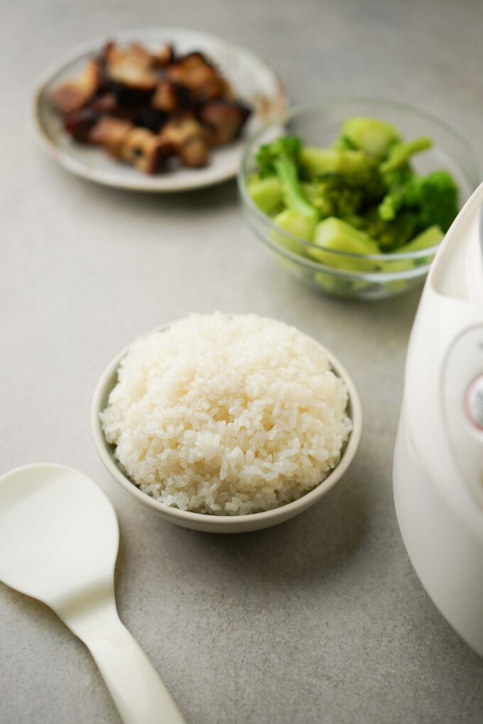 bowl of sticky rice with veggies and pork