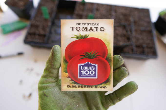 pack of beefsteak tomato seeds