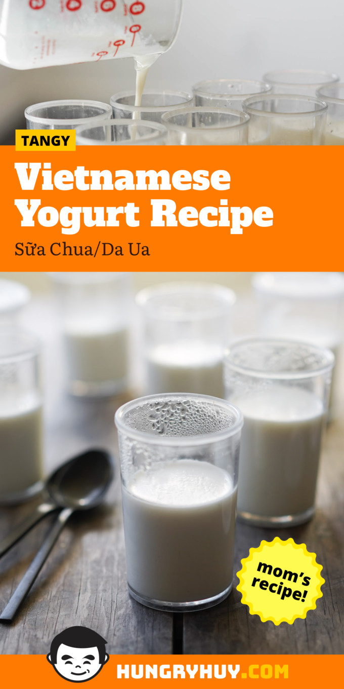 Vietnamese Yogurt Recipe (Sữa Chua/Da Ua) - Hungry Huy