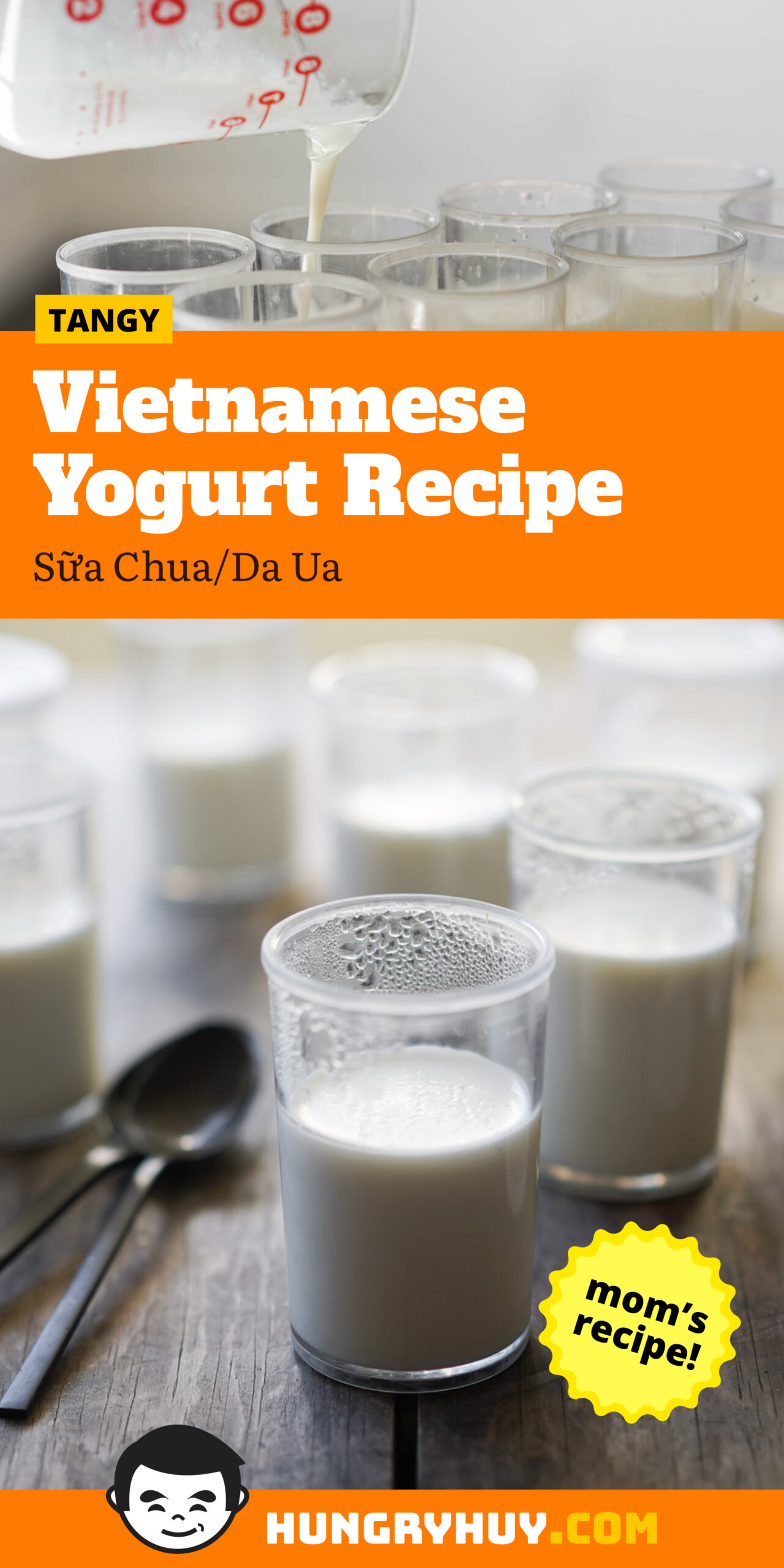 Vietnamese Yogurt Recipe (Sữa Chua/Da Ua) Hungry Huy