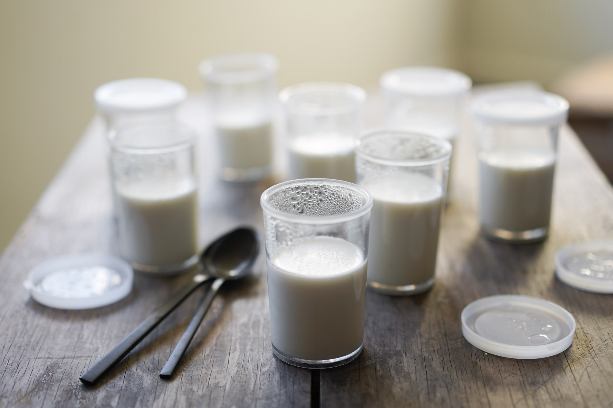 jars of Vietnamese yogurt (sua chua)